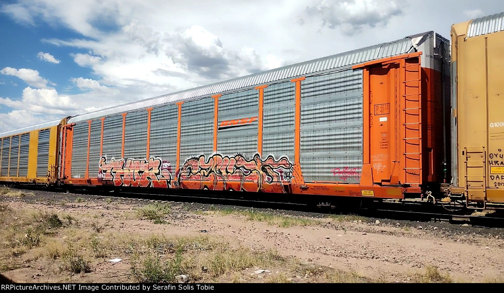 BNSF 22474 BNSF 301909 Con Grafiti 